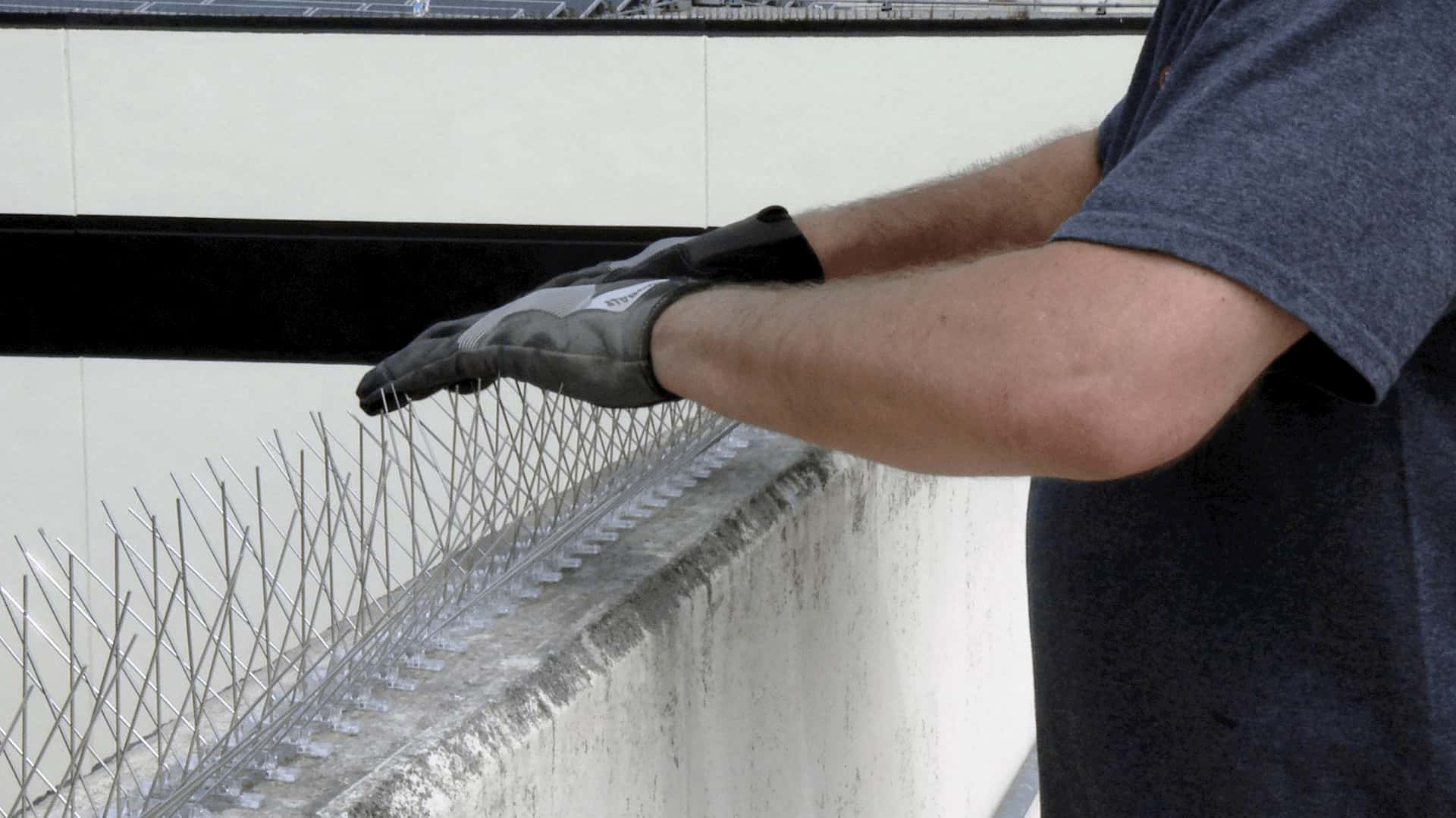 شركة تركيب طارد حمام بخميس مشيط