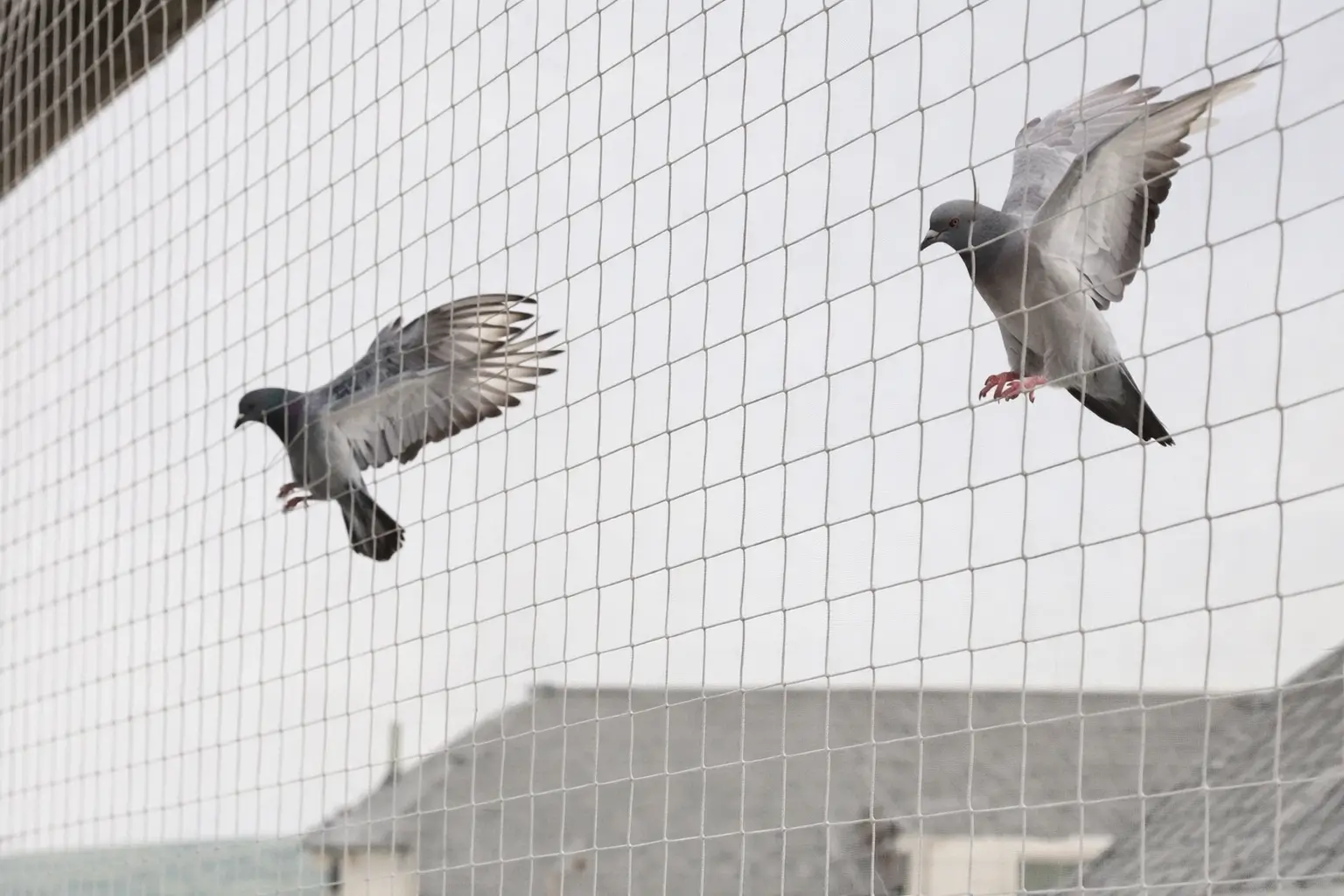 شركة تركيب طارد حمام بأبها